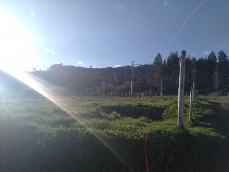 Foto de propiedad